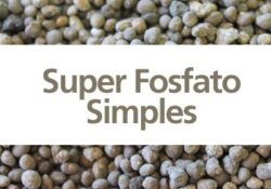 Super Fosfato Simples