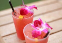 As 9 Flores Utilizadas na Produção de Bebidas Alcoólicas